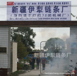 新疆伊犁鏈條廠 立足邊疆，服務(wù)農(nóng)業(yè)的鏈條專家
